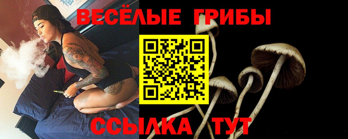 Галлюциногенные грибы MAGIC MUSHROOMS Старая Купавна